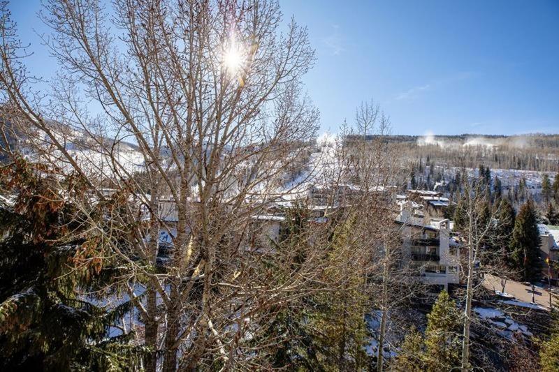 Village Center Condos Vail Rum bild